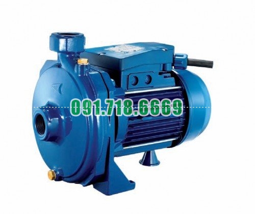 Máy bơm tăng áp Pentax tiết kiệm điện - CMT 550 Máy bơm tăng áp Pentax tiết kiệm điện - CMT 550