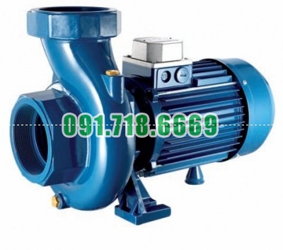 Máy bơm tự mồi Pentax giảm giá - CST 300/3