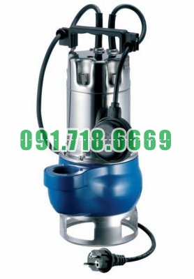 Máy bơm đầu Inox Pentax nhập khẩu từ Italy - DG 100/2G