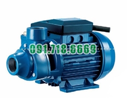 Bán Máy bơm nước Pentax chính hãng – PM 80